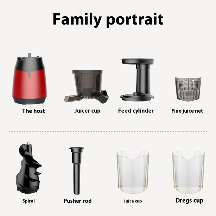 Low Speed Juicer Multifunctional Fruit And Vegetable Juicer