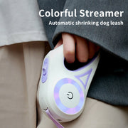 Retractable Dog Leash | Dog Leash Combo | Collar & Leash Set | Pet Leash Kit